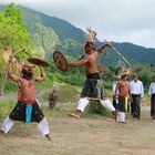 Caci - Traditioneller Tanz in Manggarai Flores