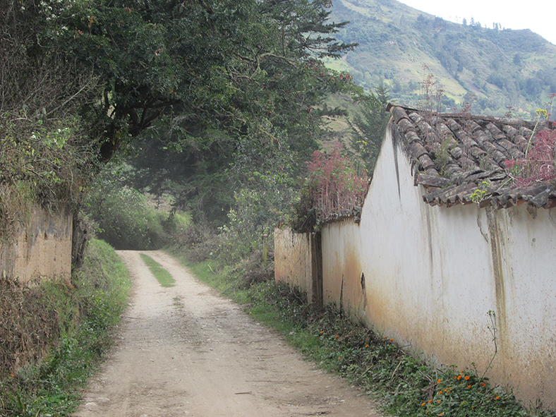 Cácota COLOMBIA.