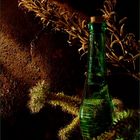 cactus, bottle and twig