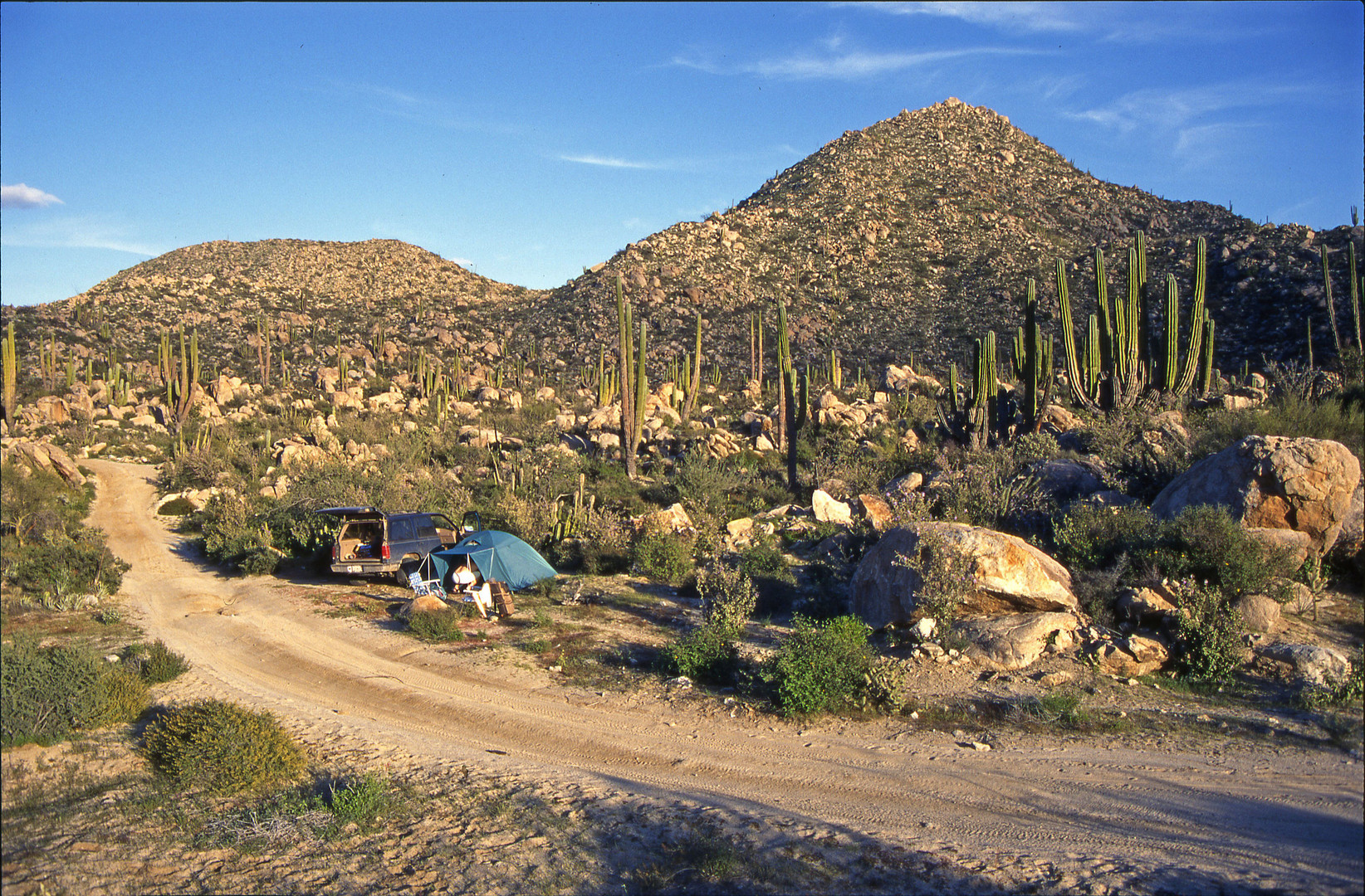 Cactus Camping