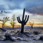 cactus-f6-f1-20  __LISTEN TO THE SILENCE__