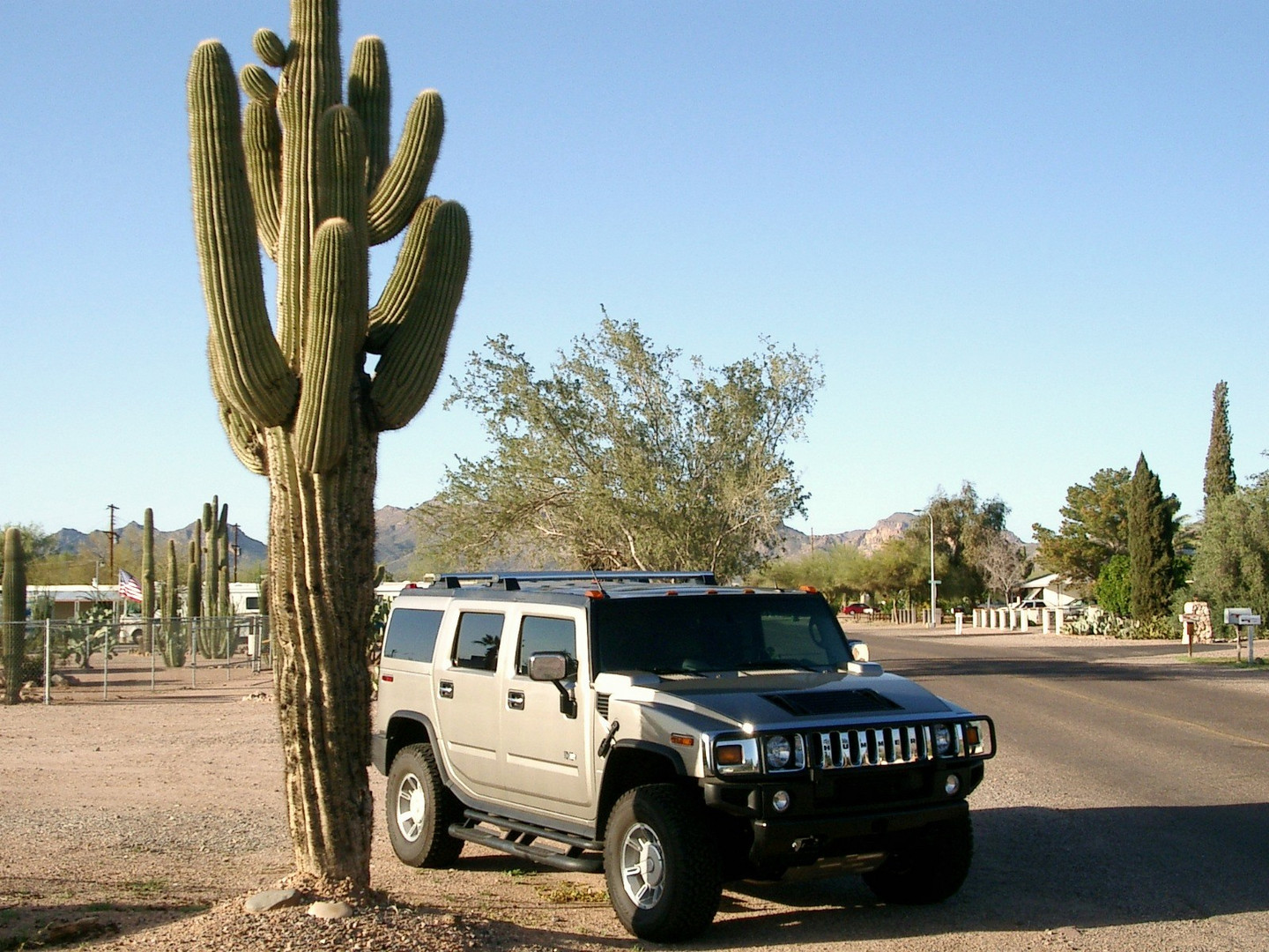 Cactus & Hummer