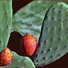 Cactus raquette en forme de Coeur......