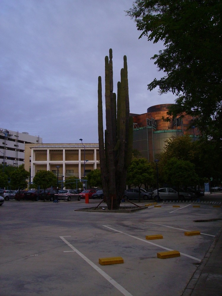 CACTUS(Isla de la Cartuja,Sevilla)