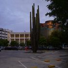 CACTUS(Isla de la Cartuja,Sevilla)