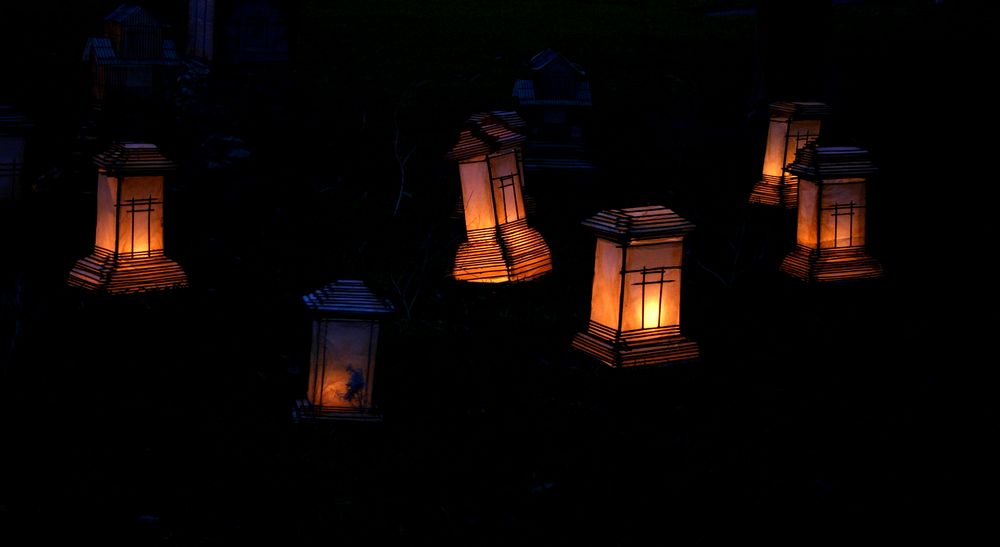 chinese lantern von Kerstin Grimmelmann 