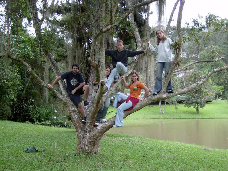 Cada Macaco no seu Galho