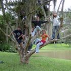 Cada macaco no seu galho!