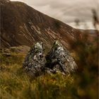 cadair idris