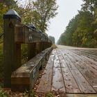 Caddo Lake