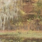 caddo lake