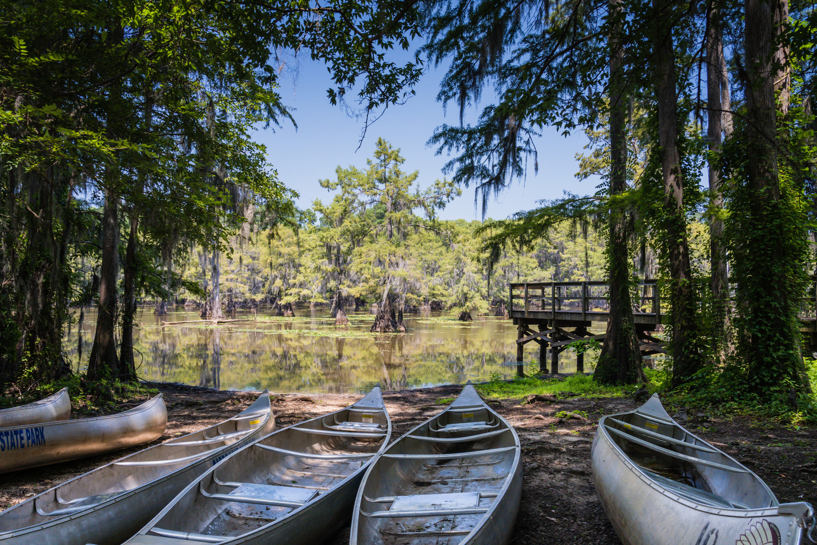 Caddo Lake Texas 