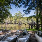 Caddo Lake Texas 