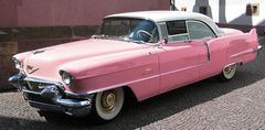 Caddy in Pink