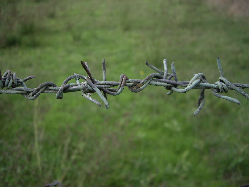 Cadena de espinas..