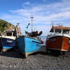 - Cadgwith Cove Crab -