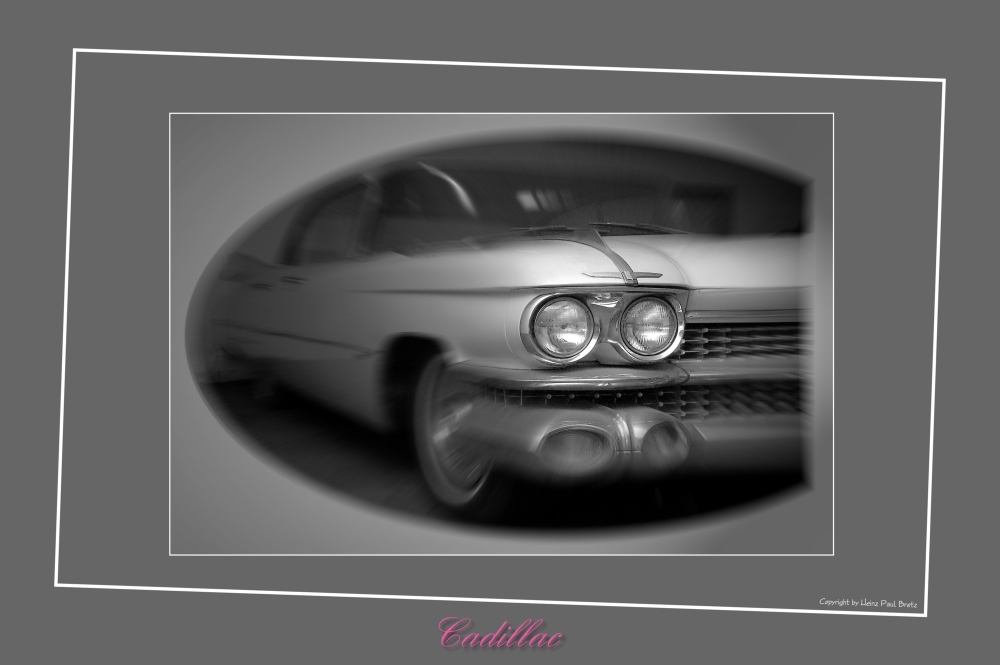 Cadi