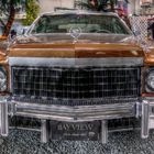 cadi