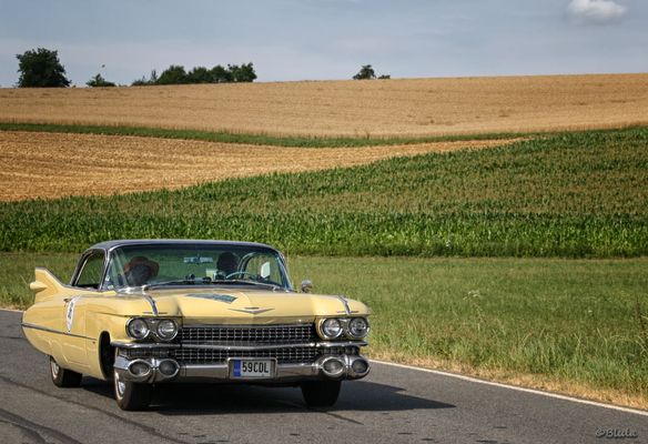 Cadillac Fleetwood 75