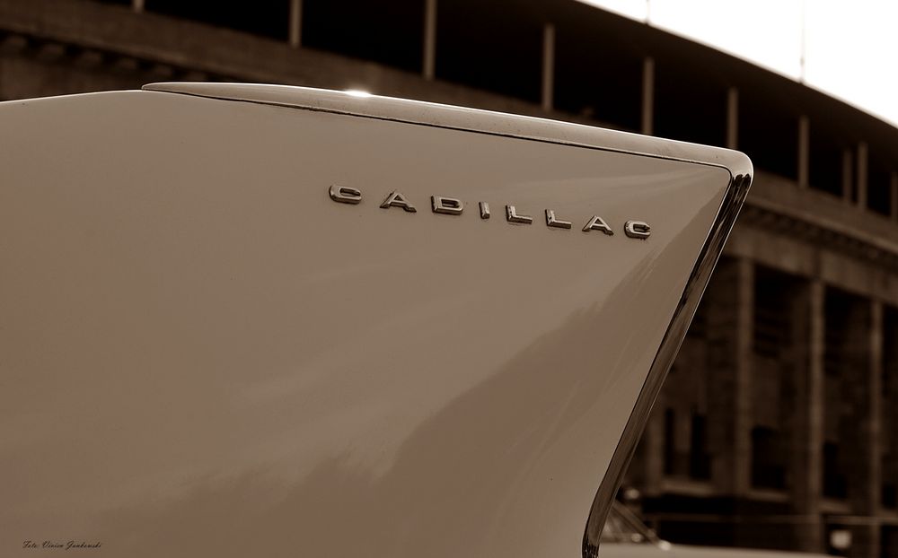 Cadillac-Flosse