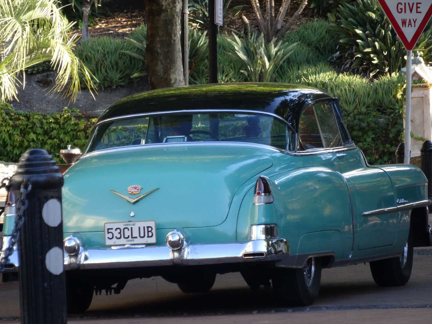 Cadillac in Nelson, Neuseeland