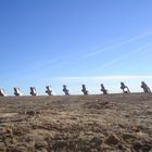 Cadillac Ranch Amarillo/Texas