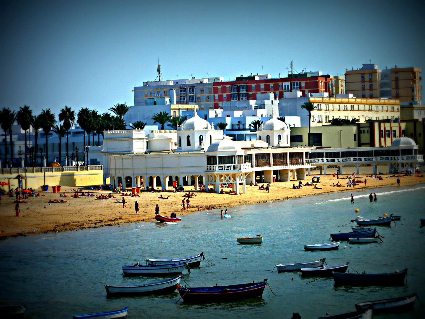 CADIZ 8