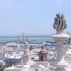 Cádiz desde la torre tavira