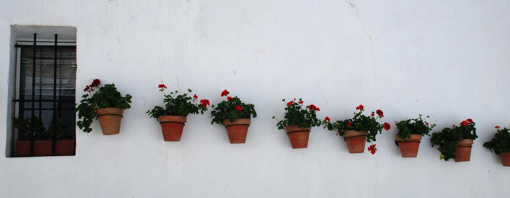 Cádiz (o Cái ...)