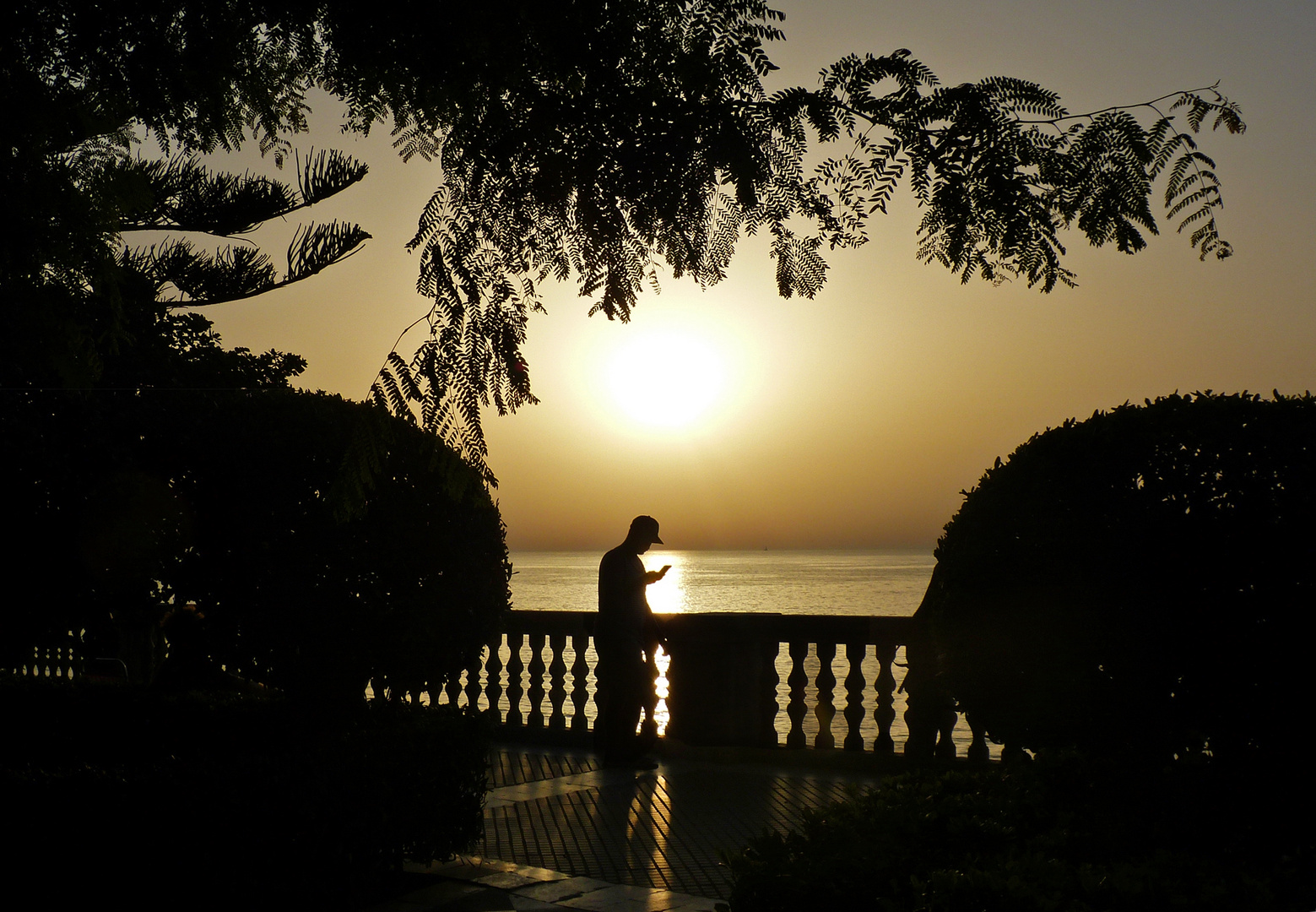 Cádiz sunset