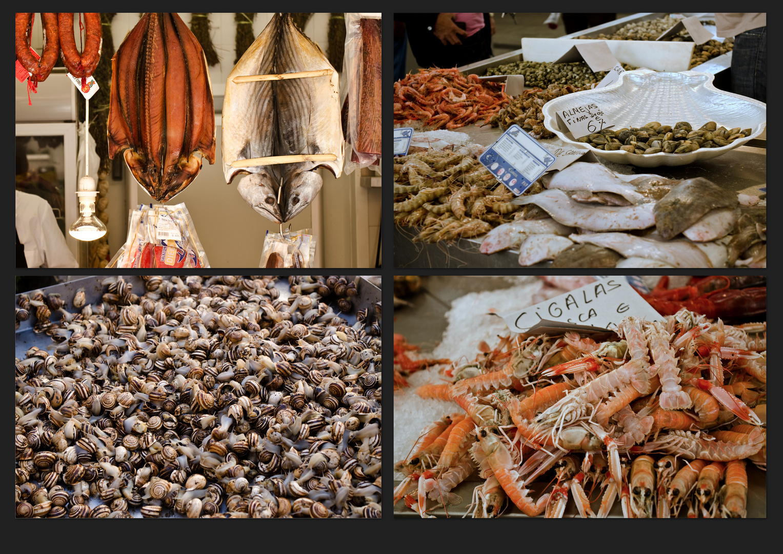 Cadiz_Andalusien Collage Fischmarkt (Portfolio)