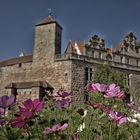 Cadolzburg im Blumenmeer