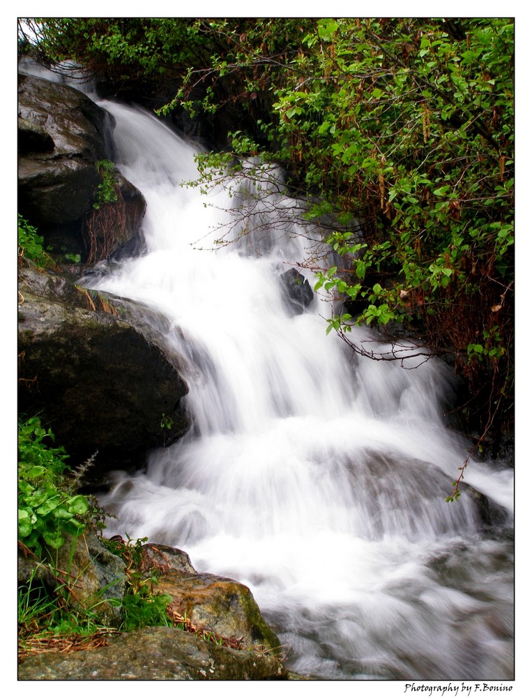 Caduta Libera