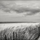 Cadzand #05