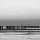 Cadzand Fischer Fishermen Visser