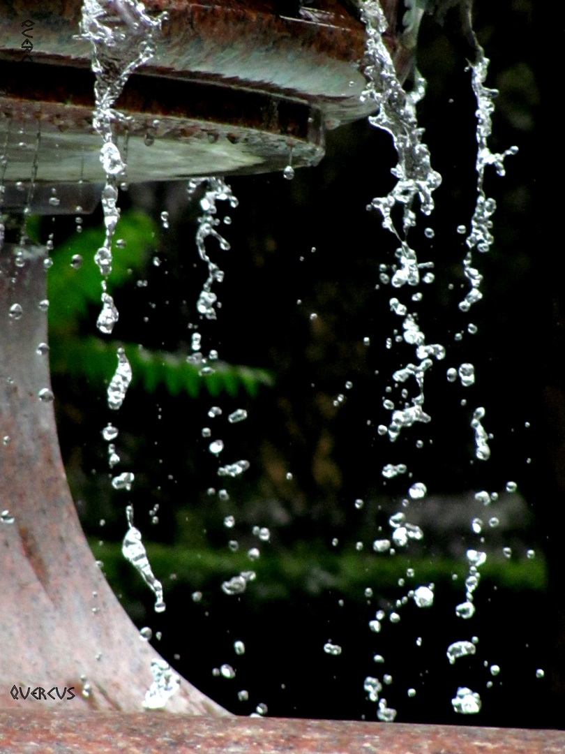 Cae el agua... y si un día sube?