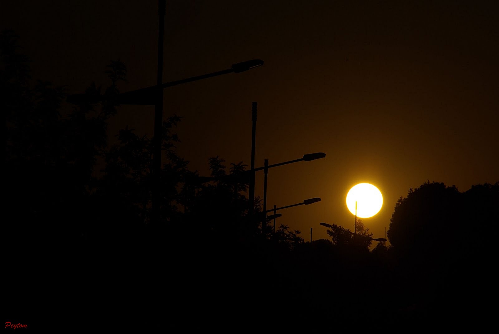 Cae la noche en la ciudad