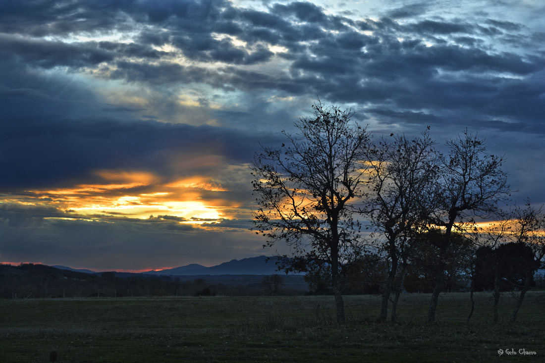 Cae la tarde