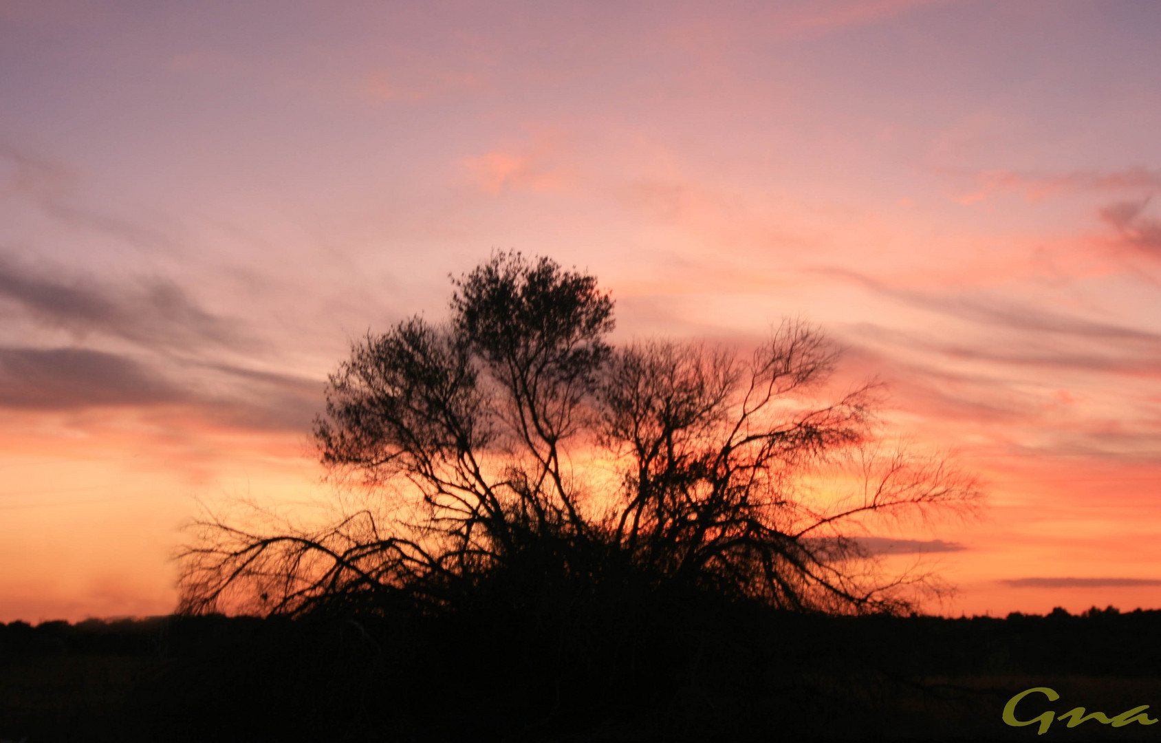 cae la tarde