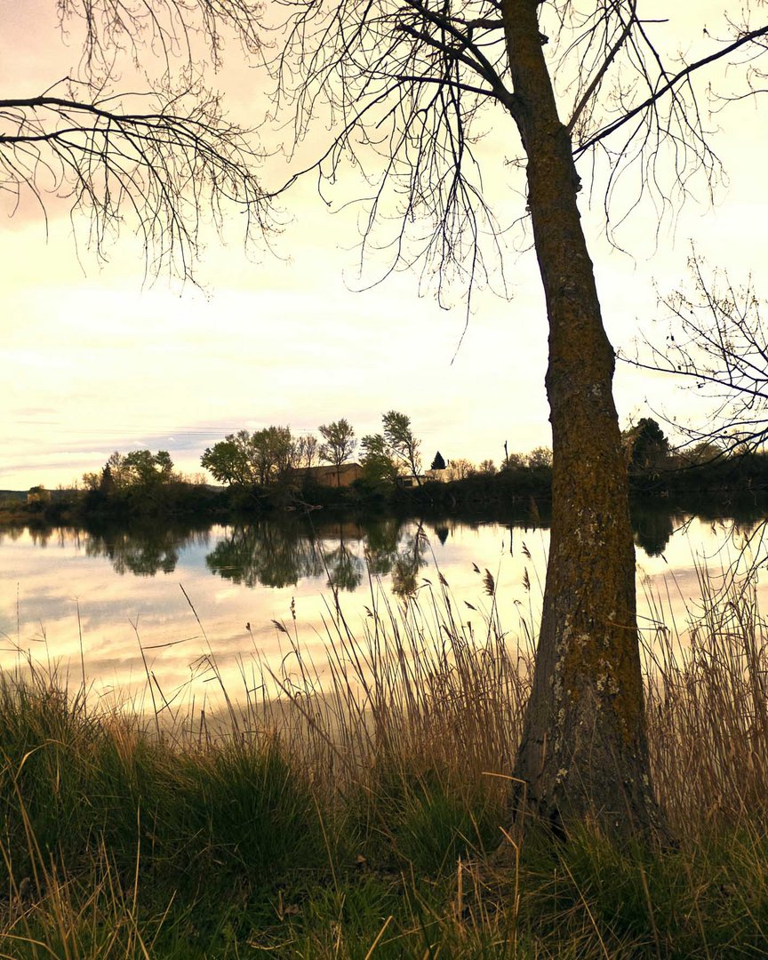 Cae la tarde en el ebro