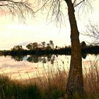 Cae la tarde en el ebro