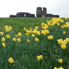 Caerphilly Castle