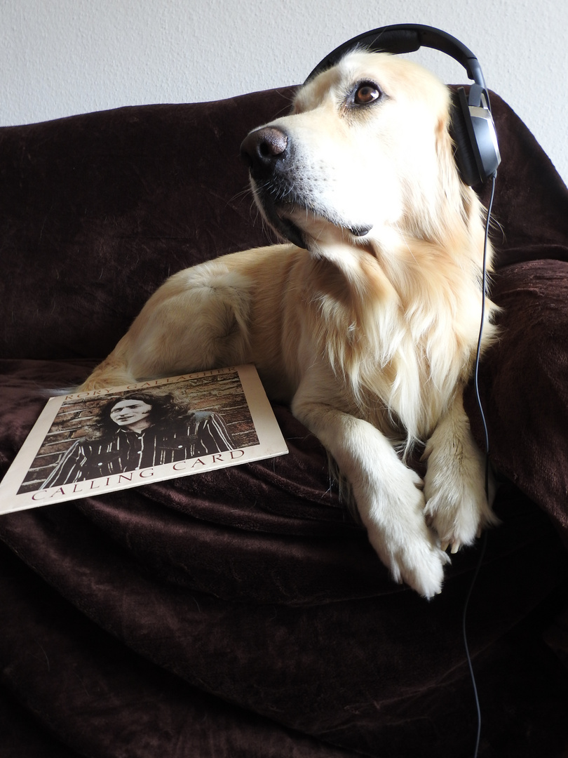 Cäsar hört Gallagher 2 Foto &amp; Bild hund, kopfhörer, komik Bilder auf