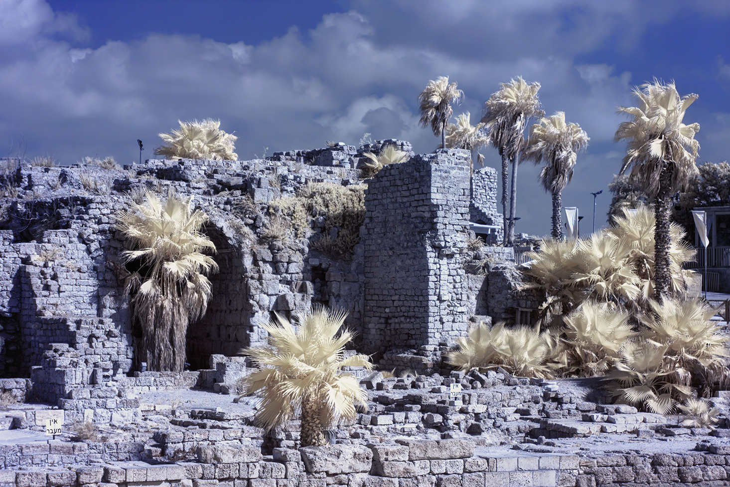 Caesarea Maritima [IR]