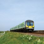 CAF DMU bei Rathcoole