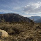 Cafayate