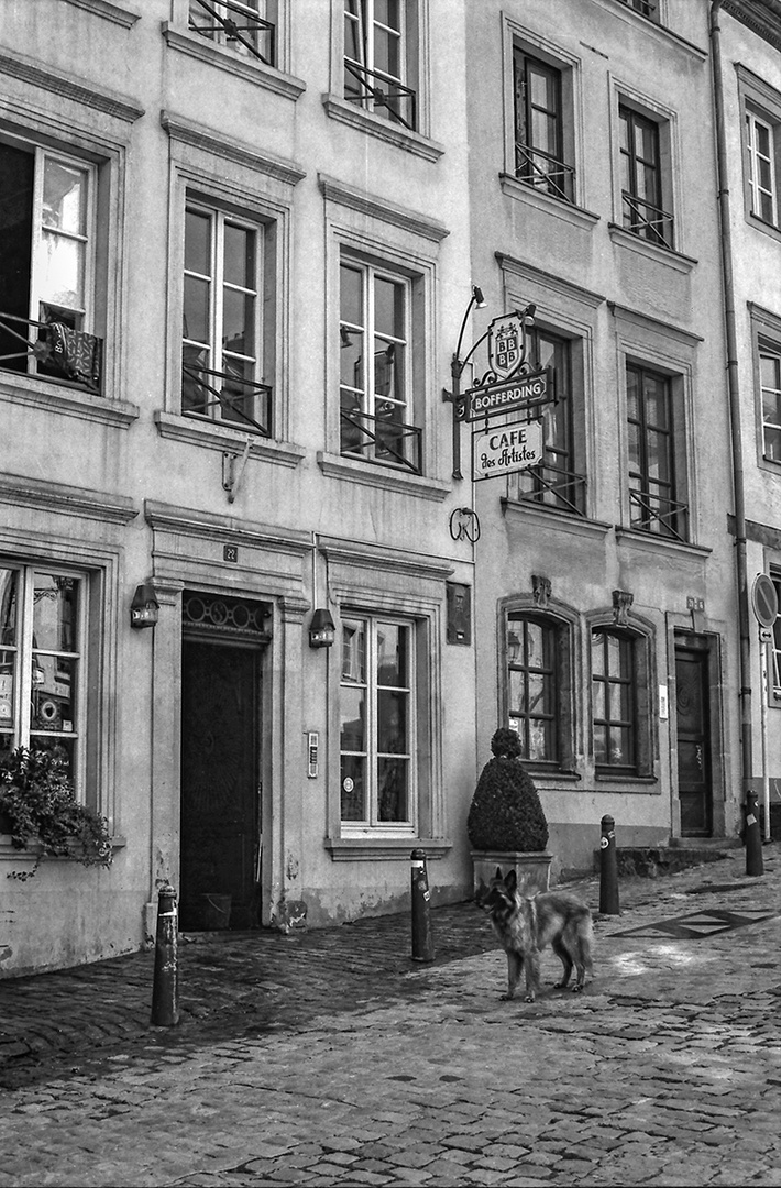 Café des artistes à Luxembourg-Grund