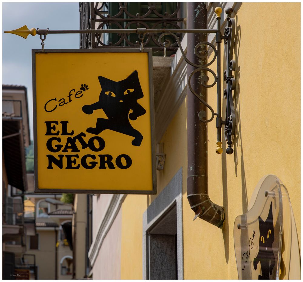 * Cafe el cato negro *