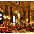 Café im Natur historischem Museum in Wien