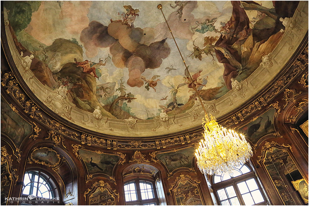 Café im Tiergarten Schönbrunn